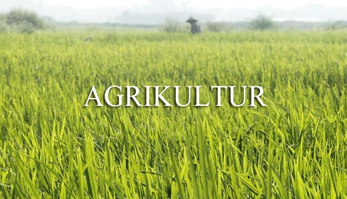 Jurusan Kuliah, Fakultas, Jurusan Agriculture, Agriculture,